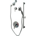 Zurn TG3 Shower Valve, Hand  Wall Accessories, & Trim Z7301-SS-MT-DV-2P-HW